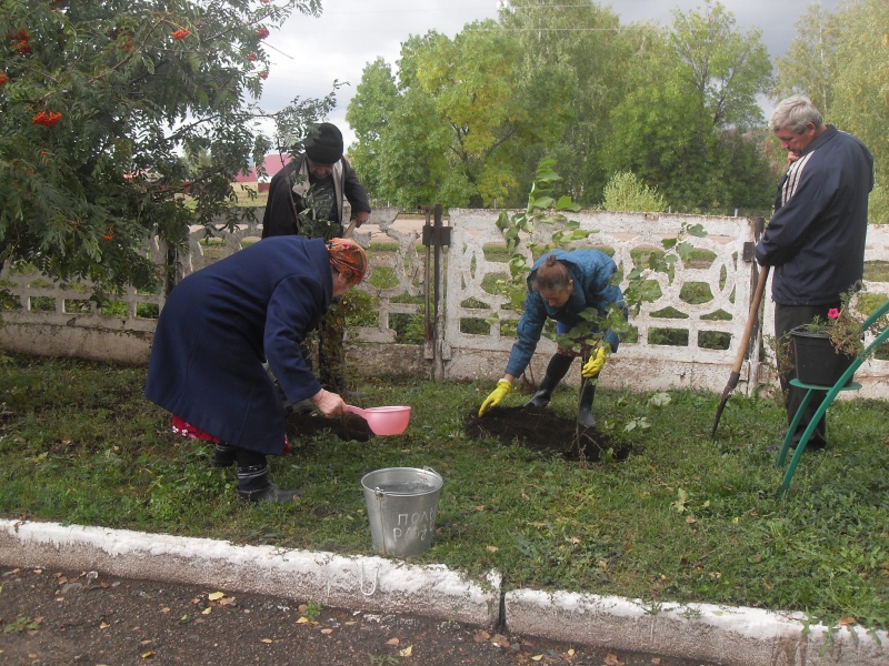 Жители Бугуруслана приняли участие в акции «Миллион деревьев»